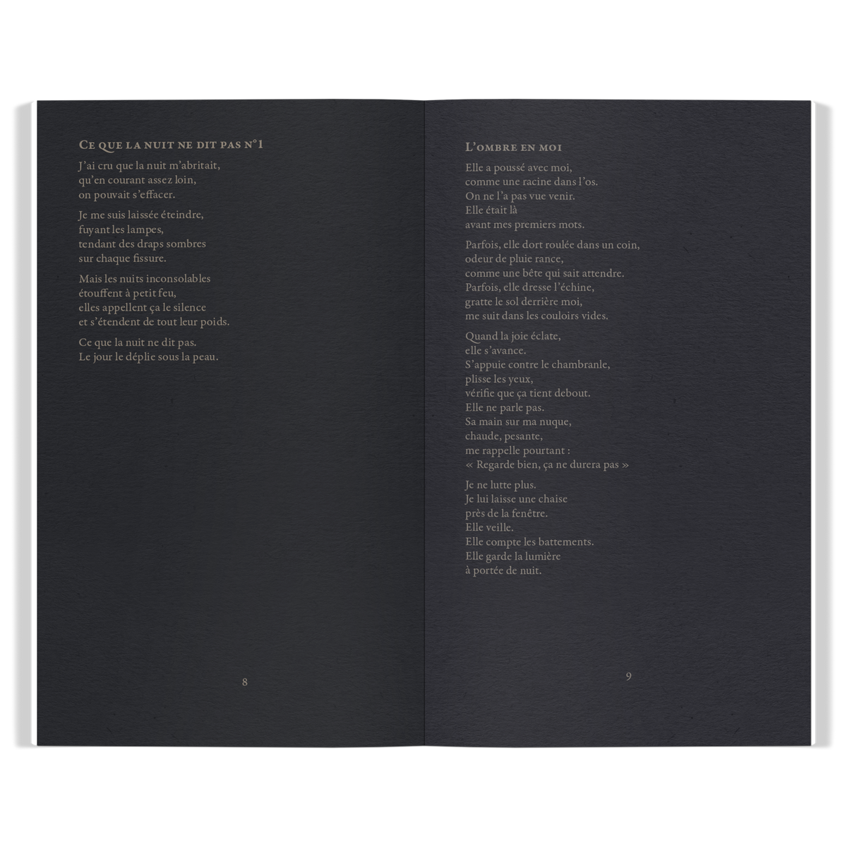Ce que la nuit ne dit pas Collection of Poems